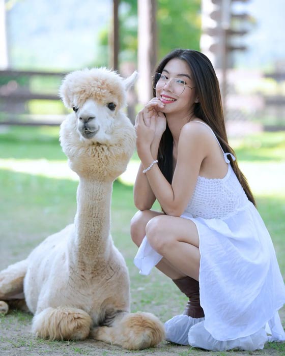 เหมยหลิน แจกวาร์ป สาวสวย หน้าหมวย สุดเซ็กซี่ ก็มาดิครับ 36